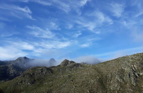 Melro-d' água - Foto 34