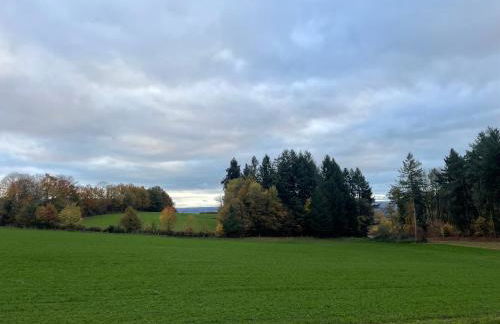 Le Chalet de Noblat - Foto 10