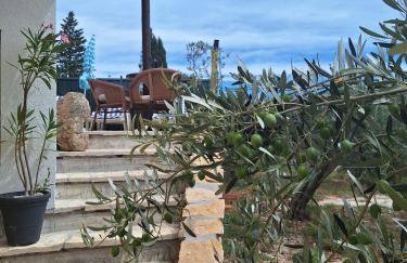 Brač Island Holiday Home With Pool And Sea View - Foto 14