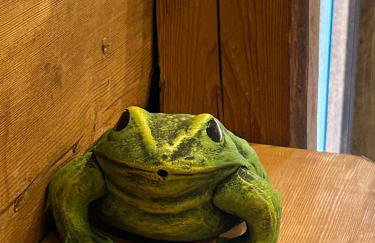 Mazurska Zagroda - Żabi Rechot - dom - stodoła - jacuzi-sauna - Photo 31