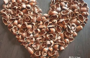 Chez Émile maison d'hotes 2 chambres avec jardin privé - Foto 44