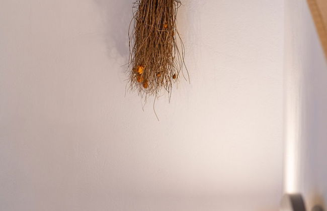 Mirsini Apartments in Sifnos - Foto 61