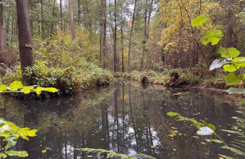 Ferienwohnung an der Postsäule Lübbenau - Foto 24
