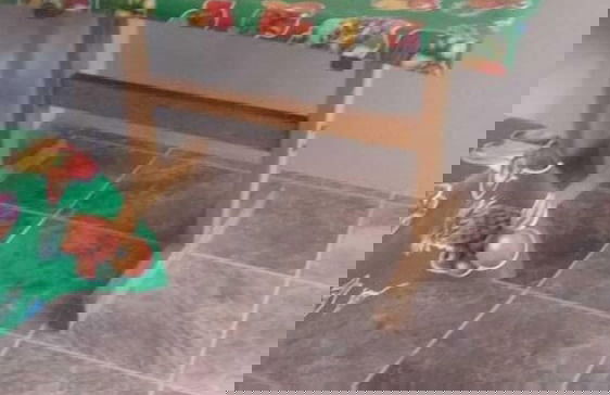 Hakal Creel-Barrancas del Cobre - Foto 18