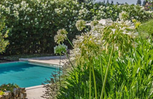 Poggio Piglia - Foto 63