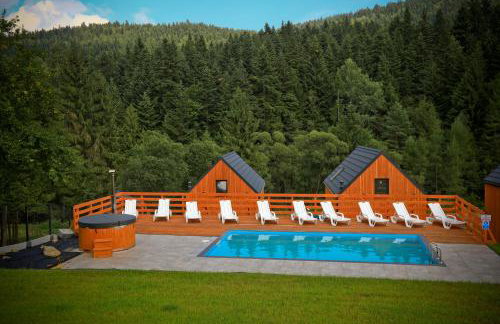 Gwiazda Mogielicy basen & balia, sauna - Foto 49