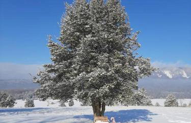 Holly Tree Retreat Located In Beautiful Luray, VA. - Foto 45