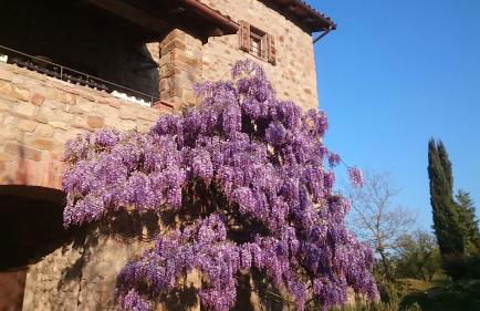 Monte Bibele - Foto 33