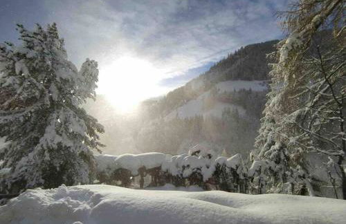 LA VOCE DEL BOSCO Selva di Cadore - Foto 30