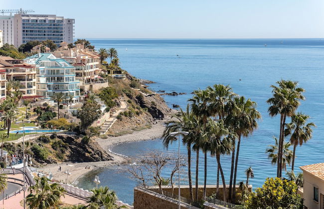 Ave Marina - Foto 22