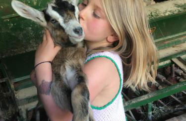 Baumhaus auf dem Kellerberg - Foto 19