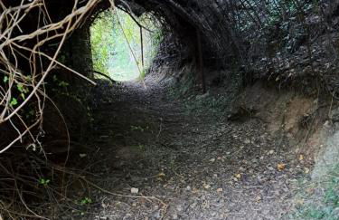 Casa Rural LA BODEGA - Foto 69