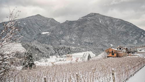 Ölackererhof - Foto 2