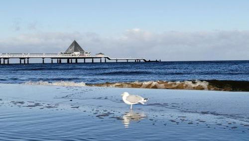 Meeressterne Schloßappartements Heringsdorf - Foto 5