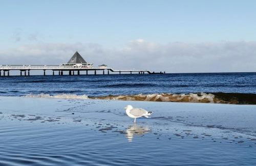 Meeressterne Schloßappartements Heringsdorf - Foto 5