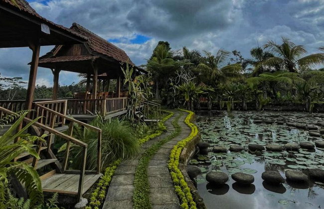 Bali Nature Wonders: Ubud Monkey Forest and Firefly Night - Full-Day Tour - Photo 6