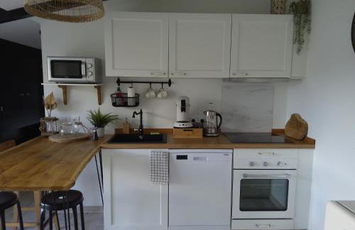 Ty Grain de Sel : logement privatif avec piscine, jardin et patio - Foto 15