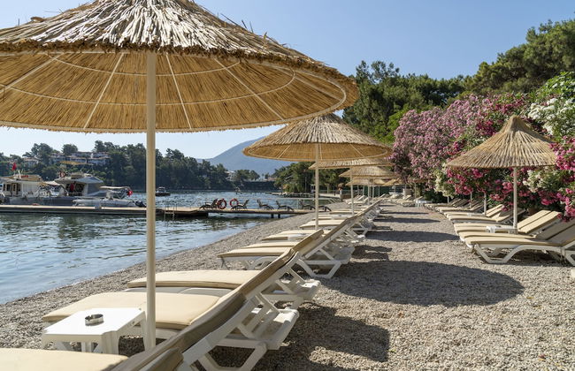 Alesta Residence - Foto 30