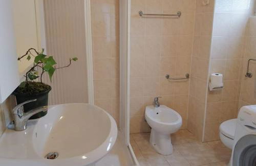 Natura tra bosco e lago - Foto 62