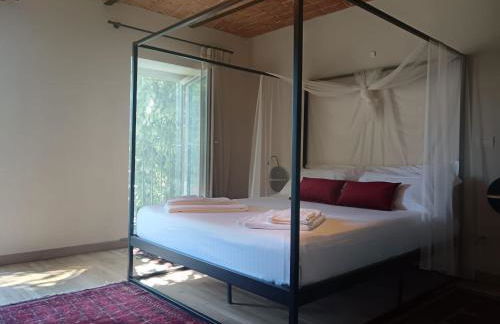 Langhe & Wine Accommodation - Foto 13