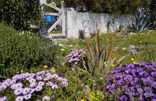 B&B Hestia's Hideaway - Foto 9