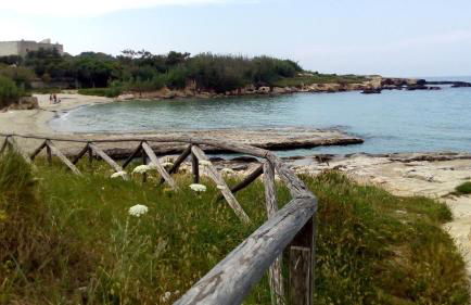 B&B di Angela Scotellaro - Foto 41