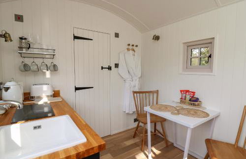Dragonfly Shepherd's Hut - Photo 7