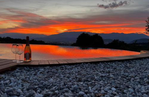 GATTO IN VIGNA - Foto 44