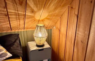 Le sauvage - Foto 35