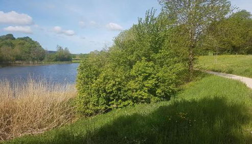 idyllisches Mühlengebäude - Photo 4