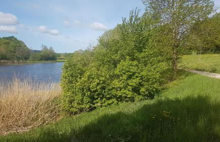 idyllisches Mühlengebäude - Foto 4