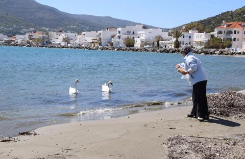 CLIO'S BEACH HOUSE - DELUXE BEACH FRONT PROPERTY - Foto 14