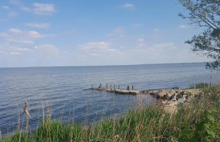 Villa Aurea - Foto 72