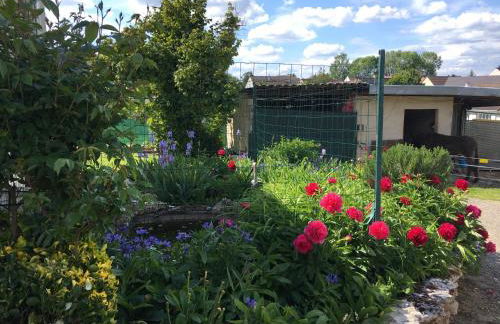 JARDIN DE CAMPAGNE - Foto 29