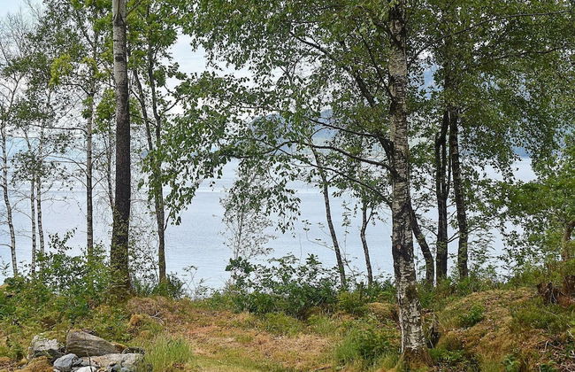 4 Person Holiday Home in Bjoa - Foto 49