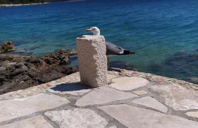 Studio Mirjana - Foto 13