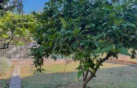 Apartments Villa Rotim - Foto 86