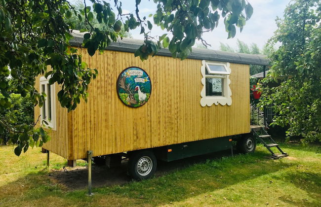 Gypsy Caravan in Weideblick With Farm Animals - Foto 49