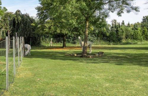 Ferienwohnung Böttcher - Photo 19