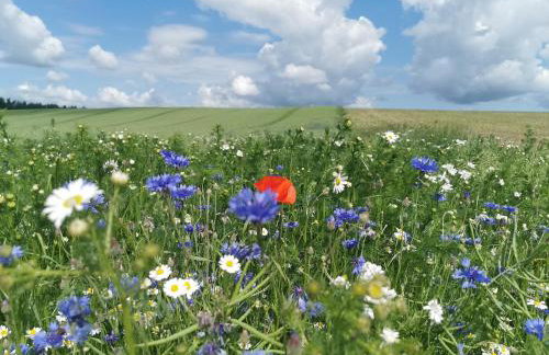 Przystan Ramotowo - Foto 24