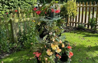 Cosy Flint Cottage - Photo 29