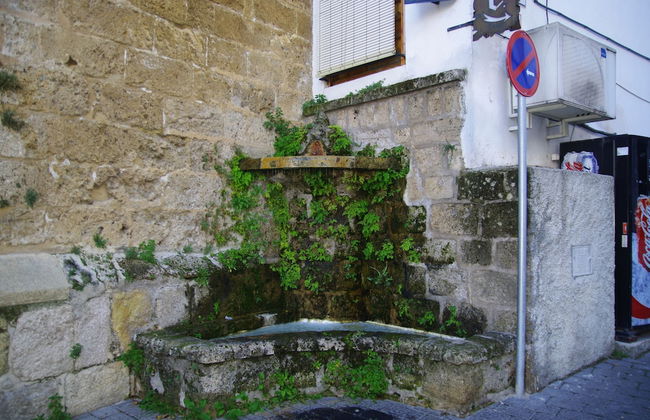 Vivienda Rural Rio Cerezuelo - Photo 42