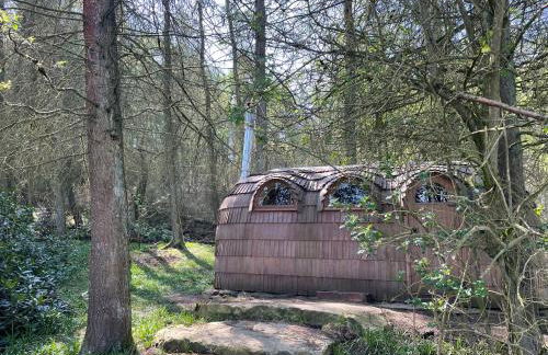 Yellison at Broughton Sanctuary - Photo 47