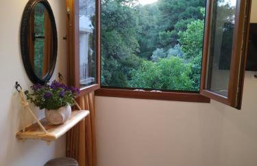 Dreamcatcher of Zeus - Foto 25