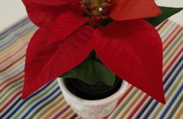 Studio apartman Asja - Foto 16