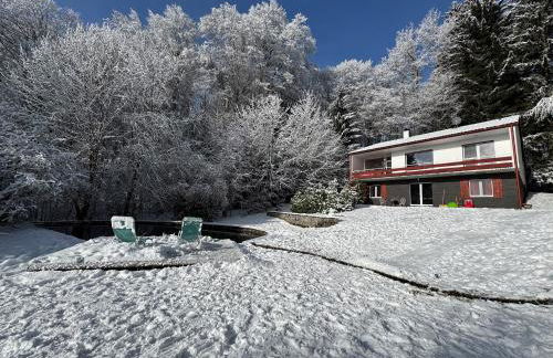 Alpenblick-Hotzenwald - Foto 1