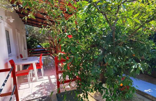 CottonClub Villas - Foto 25