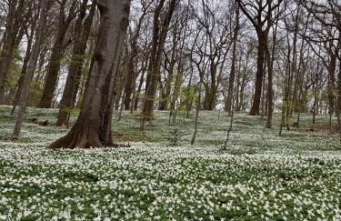 Gutshaus Haidhof - Foto 21