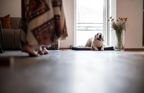 Sambucus Apartments -Premium Apartments for You and Your Dog - Photo 73