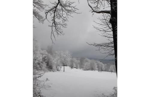 Holiday apartment with 1 bedroom - Foto 15